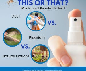Insect Repellent